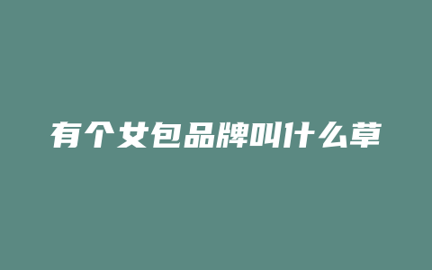 有个女包品牌叫什么草