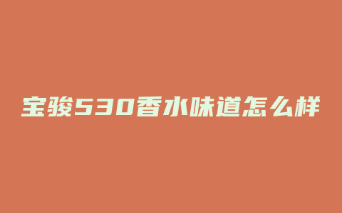 宝骏530香水味道怎么样