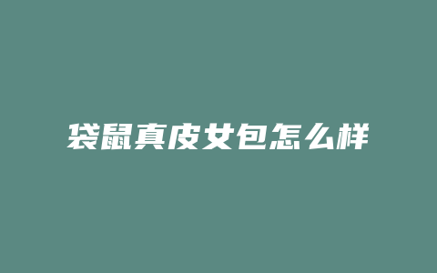 袋鼠真皮女包怎么样