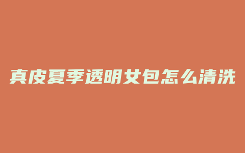 真皮夏季透明女包怎么清洗