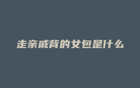 走亲戚背的女包是什么