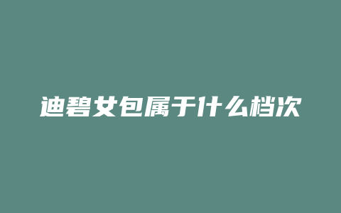 迪碧女包属于什么档次
