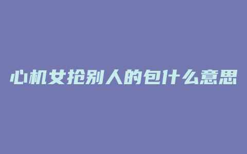 心机女抢别人的包什么意思