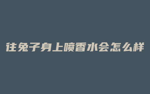 往兔子身上喷香水会怎么样