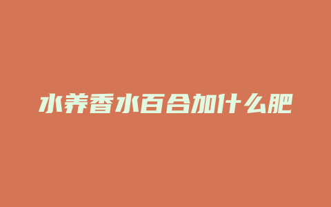 水养香水百合加什么肥