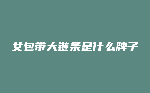 女包带大链条是什么牌子