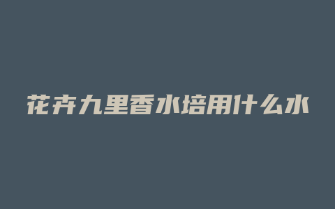 花卉九里香水培用什么水