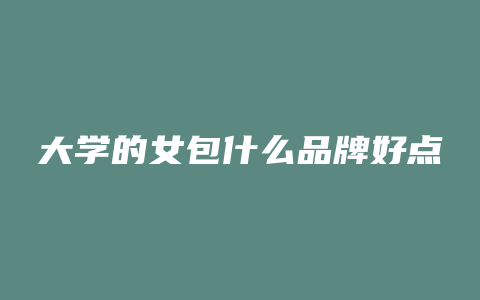 大学的女包什么品牌好点