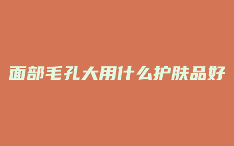面部毛孔大用什么护肤品好
