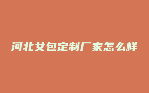河北女包定制厂家怎么样