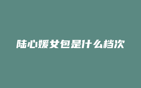 陆心媛女包是什么档次