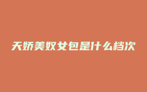 天娇美奴女包是什么档次