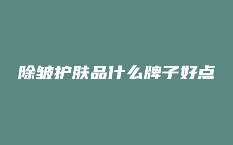 除皱护肤品什么牌子好点