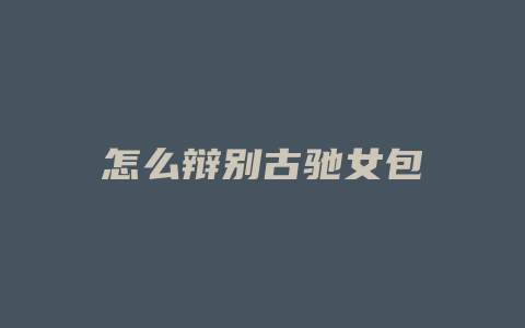 怎么辩别古驰女包