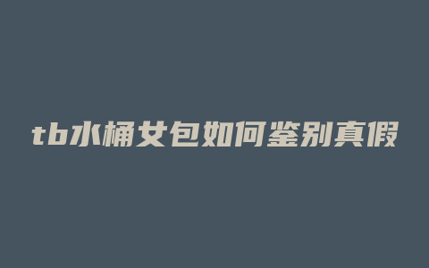 tb水桶女包如何鉴别真假