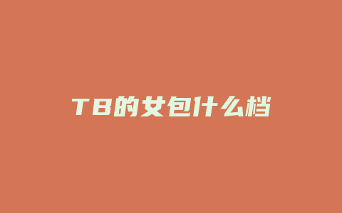 TB的女包什么档