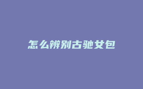 怎么辨别古驰女包