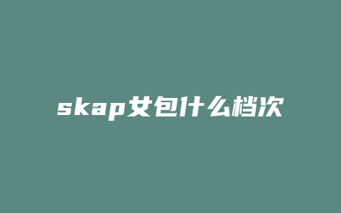 skap女包什么档次