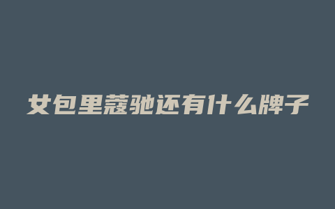 女包里蔻驰还有什么牌子