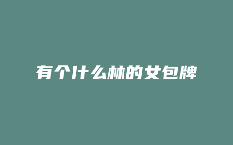 有个什么林的女包牌