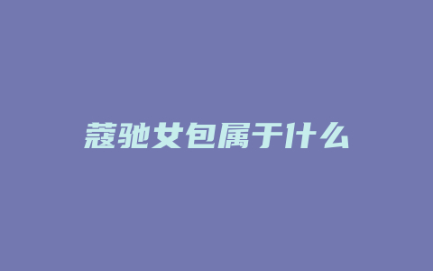 蔻驰女包属于什么