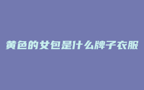 黄色的女包是什么牌子衣服