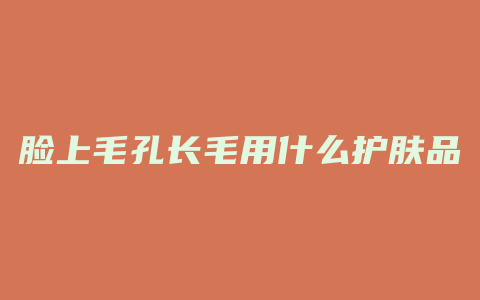 脸上毛孔长毛用什么护肤品