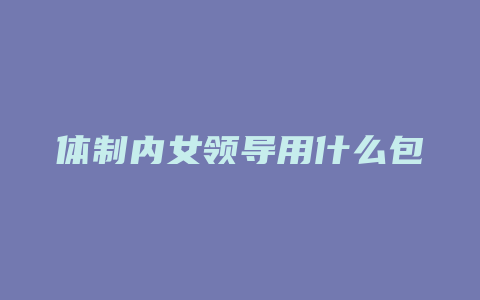 体制内女领导用什么包