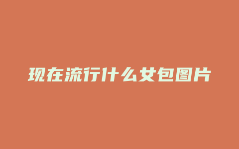 现在流行什么女包图片