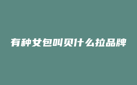 有种女包叫贝什么拉品牌
