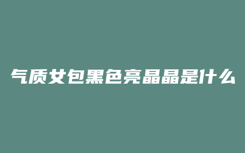 气质女包黑色亮晶晶是什么