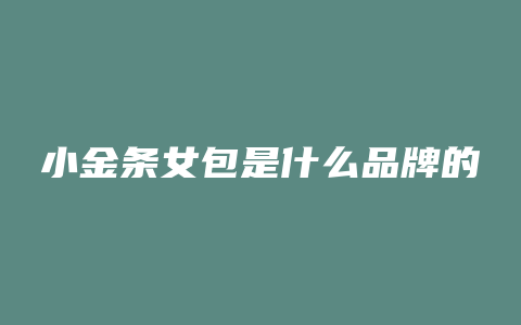 小金条女包是什么品牌的