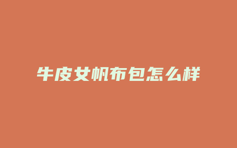 牛皮女帆布包怎么样