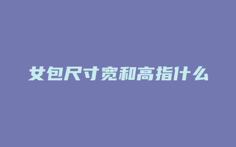 女包尺寸宽和高指什么