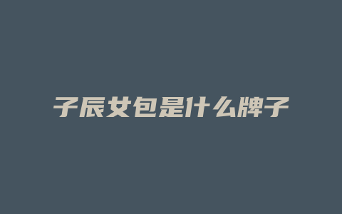 子辰女包是什么牌子