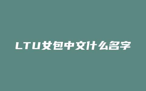 LTU女包中文什么名字