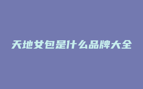 天地女包是什么品牌大全