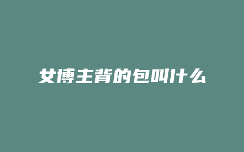 女博主背的包叫什么