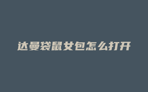 达曼袋鼠女包怎么打开