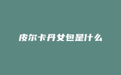 皮尔卡丹女包是什么