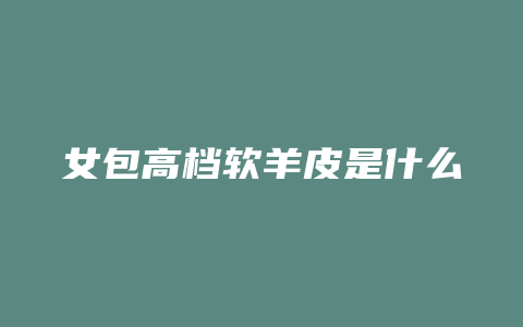 女包高档软羊皮是什么