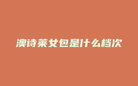 澳诗莱女包是什么档次