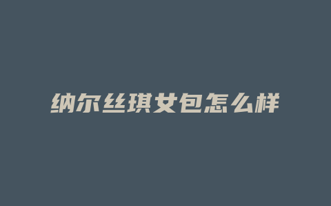 纳尔丝琪女包怎么样