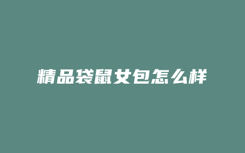 精品袋鼠女包怎么样