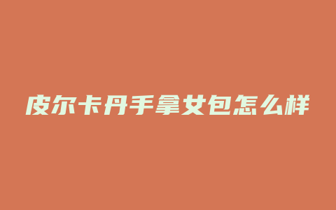 皮尔卡丹手拿女包怎么样