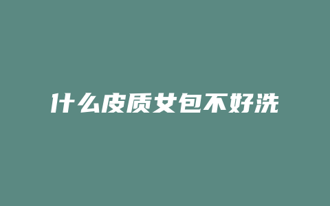什么皮质女包不好洗