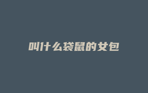 叫什么袋鼠的女包