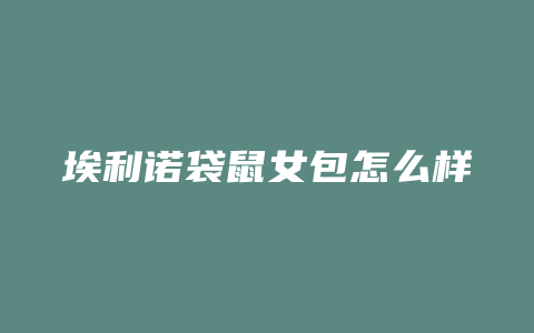 埃利诺袋鼠女包怎么样