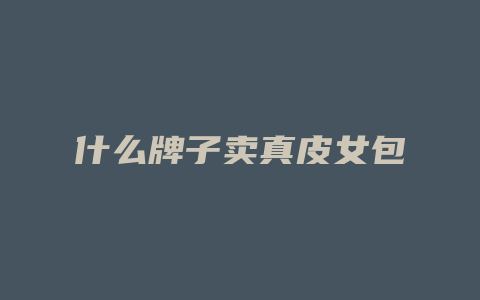 什么牌子卖真皮女包