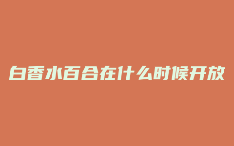 白香水百合在什么时候开放